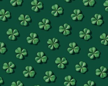 clover, green Wallpaper 1280x1024