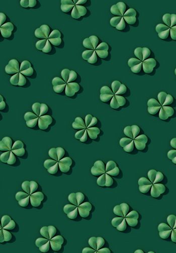 clover, green Wallpaper 1640x2360