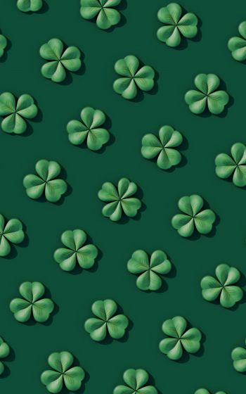 clover, green Wallpaper 800x1280