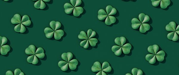 clover, green Wallpaper 2560x1080