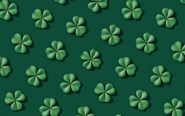 clover, green Wallpaper 1920x1200