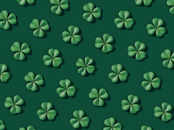 clover, green Wallpaper 1024x768