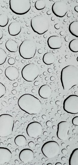water droplets, glass Wallpaper 1440x3040