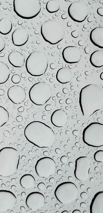 water droplets, glass Wallpaper 1440x2960