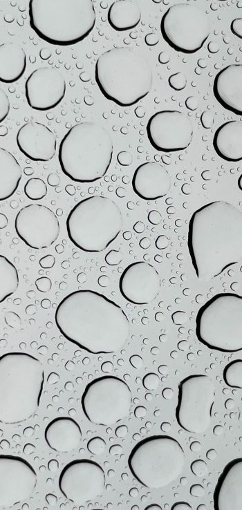 water droplets, glass Wallpaper 1440x3040