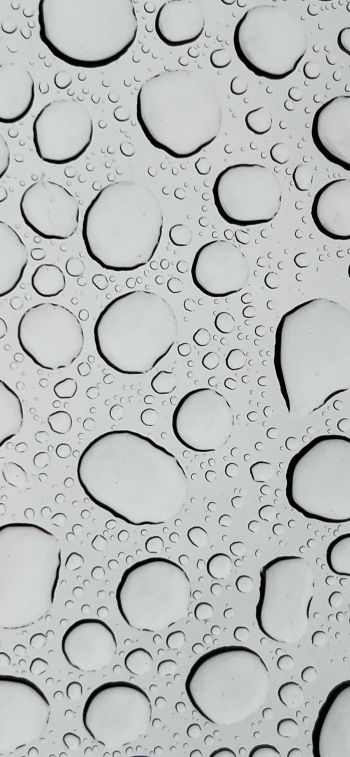 water droplets, glass Wallpaper 1125x2436