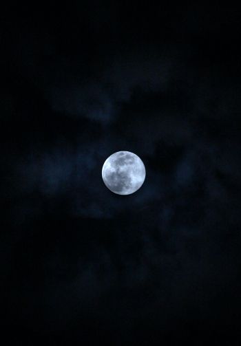 Обои 1640x2360 луна, ночь, небо