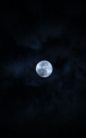 Обои 1752x2800 луна, ночь, небо