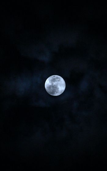 Обои 800x1280 луна, ночь, небо