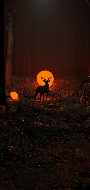 3D modeling, deer Wallpaper 1080x2280
