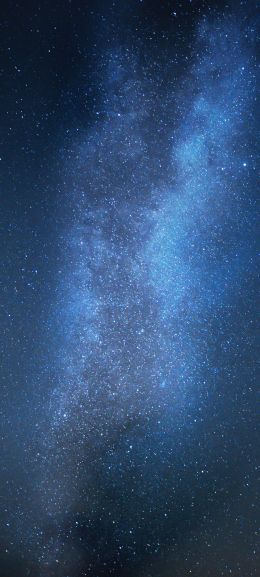 starry sky, stars, night Wallpaper 1440x3200