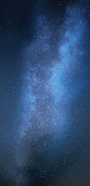 starry sky, stars, night Wallpaper 1440x2960