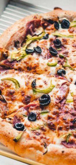 pizza pizza, delicious Wallpaper 1242x2688
