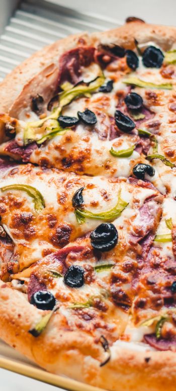 pizza pizza, delicious Wallpaper 1080x2400