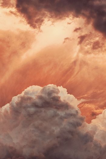 sky, clouds, above the clouds Wallpaper 640x960