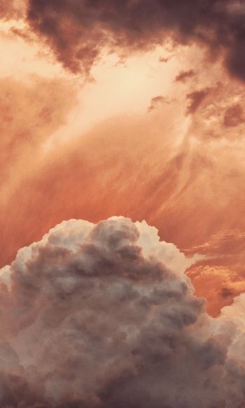 sky, clouds, above the clouds Wallpaper 1200x2000