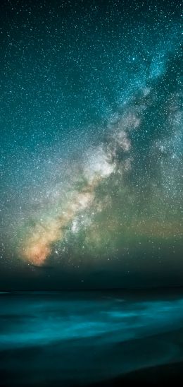 Milky Way, starry sky, stars Wallpaper 1080x2280