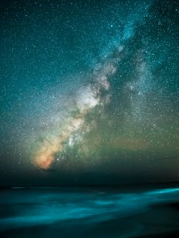 Milky Way, starry sky, stars Wallpaper 1668x2224