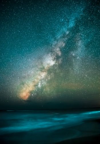 Milky Way, starry sky, stars Wallpaper 1640x2360