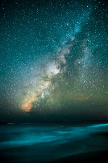 Milky Way, starry sky, stars Wallpaper 640x960