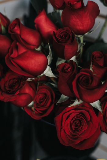 Обои 640x960 красные розы, букет роз