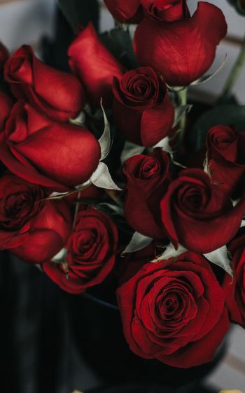 Обои 800x1280 красные розы, букет роз