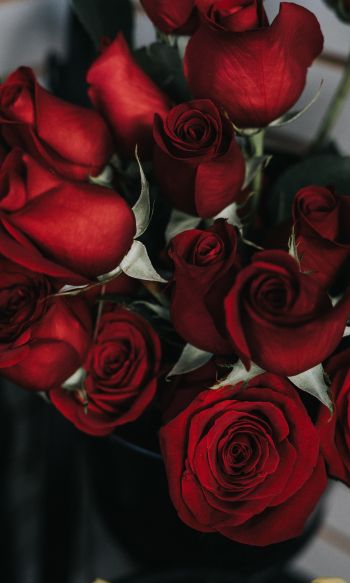 Обои 1200x2000 красные розы, букет роз
