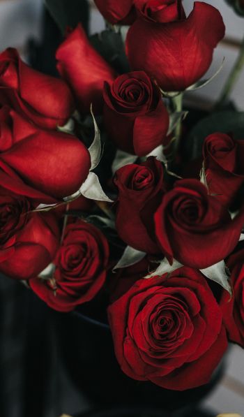 Обои 600x1024 красные розы, букет роз