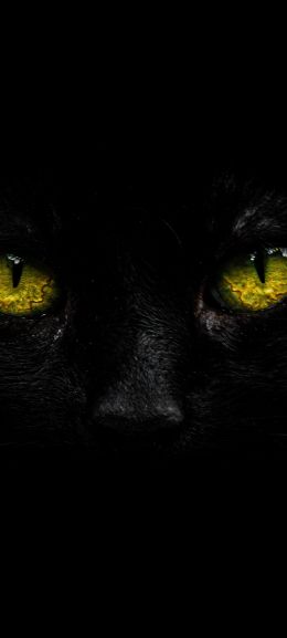 yellow eyes, black Wallpaper 720x1600