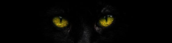 yellow eyes, black Wallpaper 1590x400