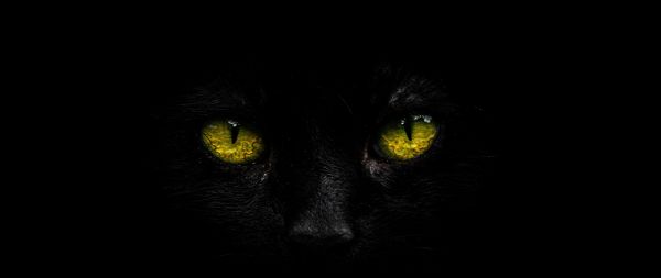 yellow eyes, black Wallpaper 2560x1080