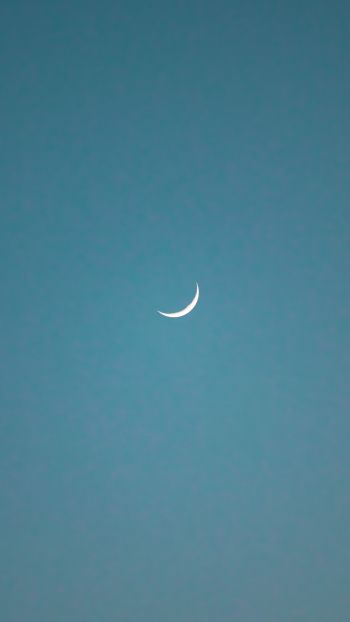 Обои 750x1334 месяц, голубое небо