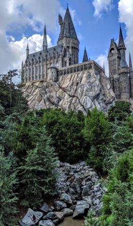 Hogwarts, lock, coniferous trees Wallpaper 600x1024