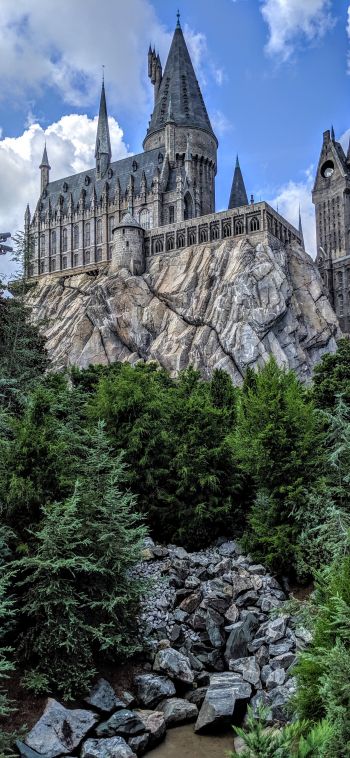Hogwarts, lock, coniferous trees Wallpaper 1080x2340