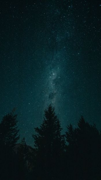 Обои 640x1136 ночь, звездное небо, лес