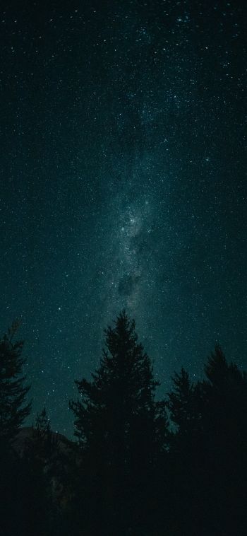 night, starry sky, forest Wallpaper 1080x2340