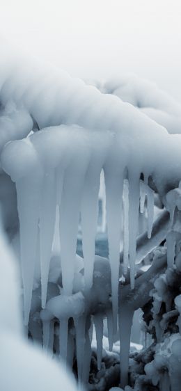 ice, winter, white Wallpaper 1284x2778