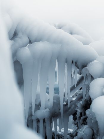 ice, winter, white Wallpaper 1668x2224
