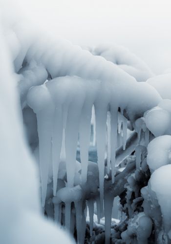 ice, winter, white Wallpaper 1668x2388