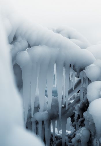 ice, winter, white Wallpaper 1640x2360