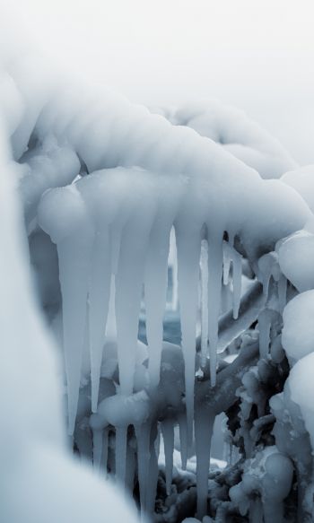 ice, winter, white Wallpaper 1200x2000