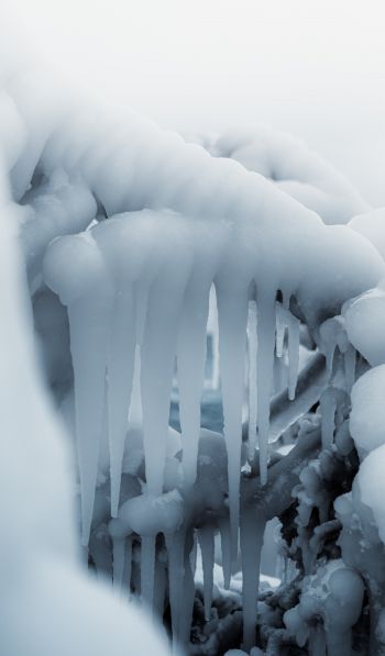 ice, winter, white Wallpaper 600x1024