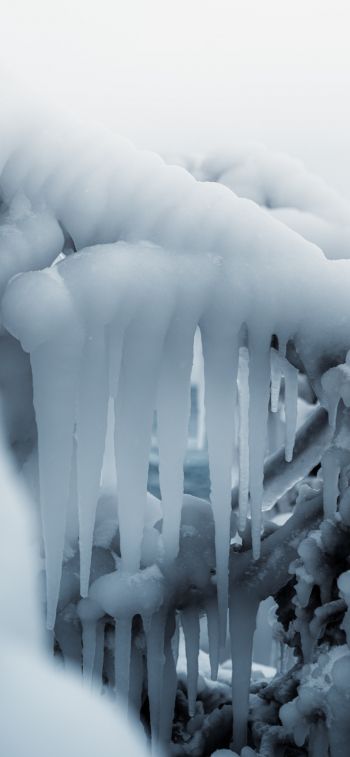 ice, winter, white Wallpaper 828x1792