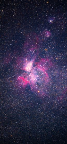 nebula, stars, astronomy Wallpaper 1170x2532