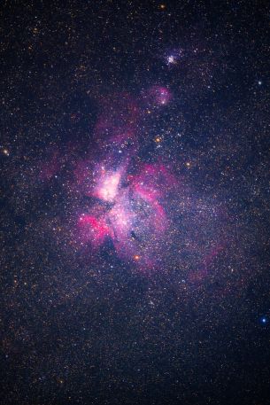 Обои 2730x4096 туманность, звезды, астрономия