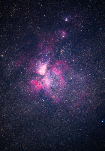 Обои 1640x2360 туманность, звезды, астрономия
