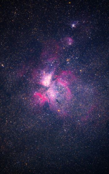 Обои 1752x2800 туманность, звезды, астрономия