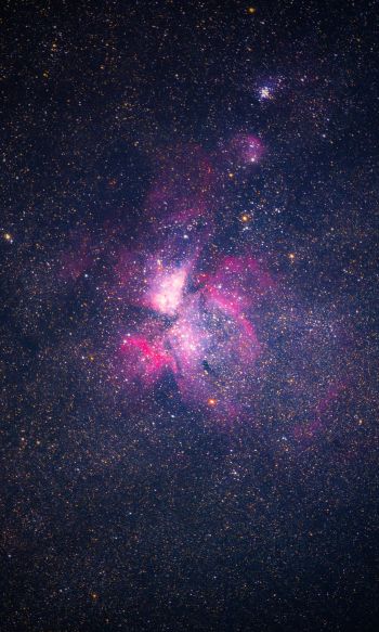 nebula, stars, astronomy Wallpaper 1200x2000
