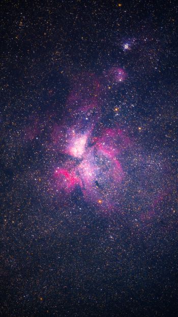 nebula, stars, astronomy Wallpaper 640x1136