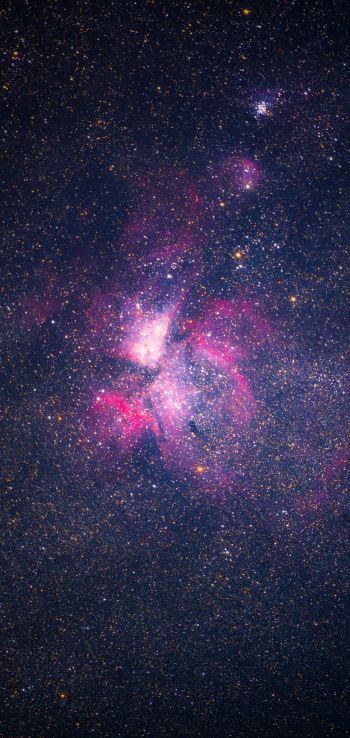 nebula, stars, astronomy Wallpaper 1440x3040